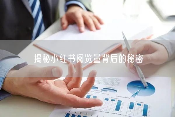 揭秘小红书阅览量背后的秘密