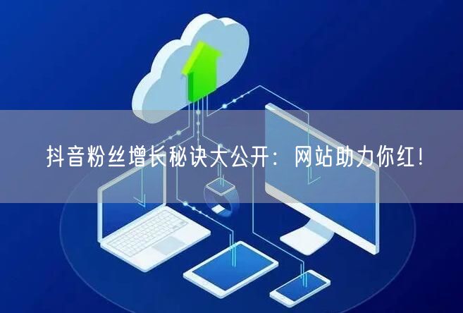 抖音粉丝增长秘诀大公开：网站助力你红！
