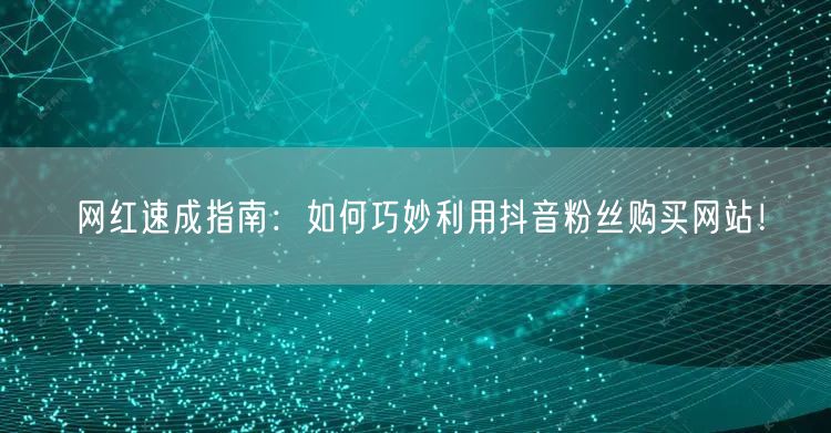 网红速成指南：如何巧妙利用抖音粉丝购买网站！